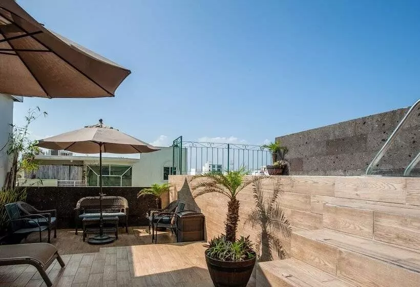 Fotos del hotel Capital O Boca Inn & Suites:  14