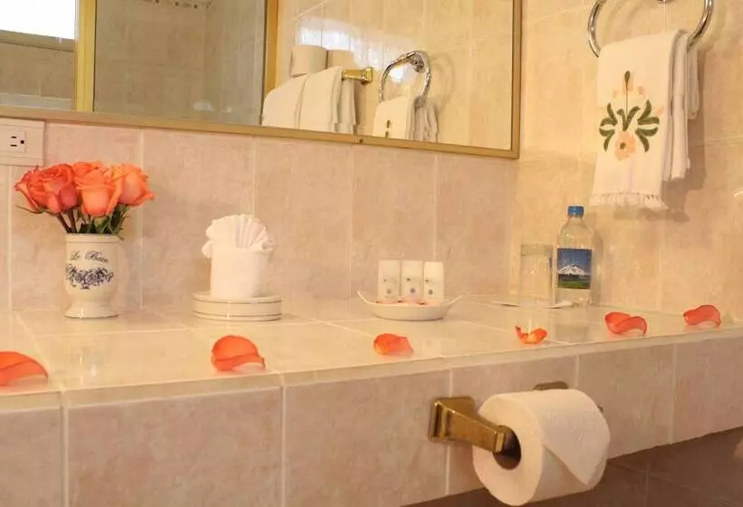 Fotos del hotel City Art  Silberstein:  25