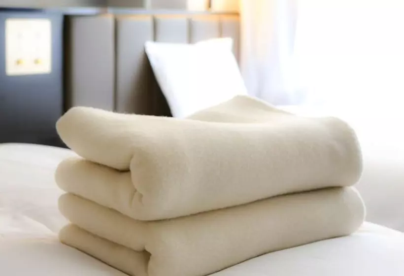 Fotos del hotel Apa  Kagoshimachuoekimae:  2