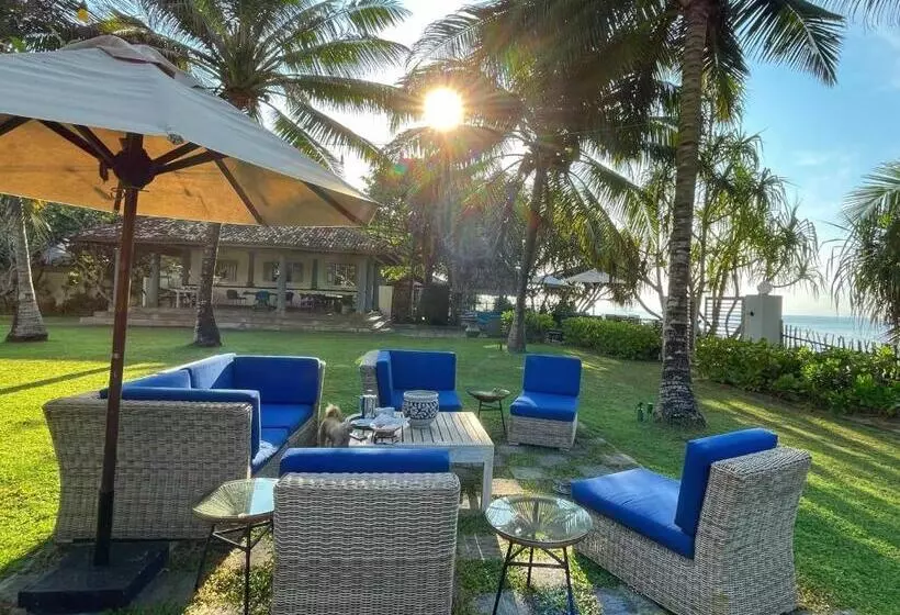 Fotos del hotel Elysium  Level 1 Safe & Secure:  9