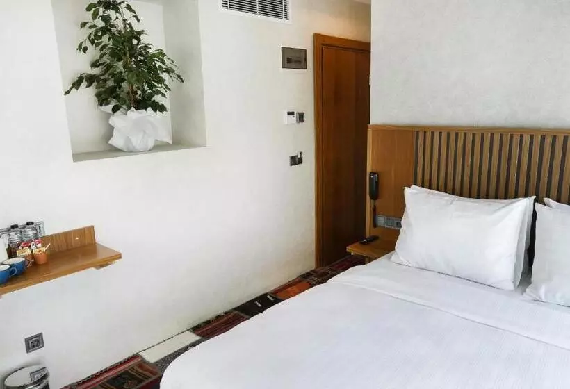 Fotos del hotel Discovery:  6