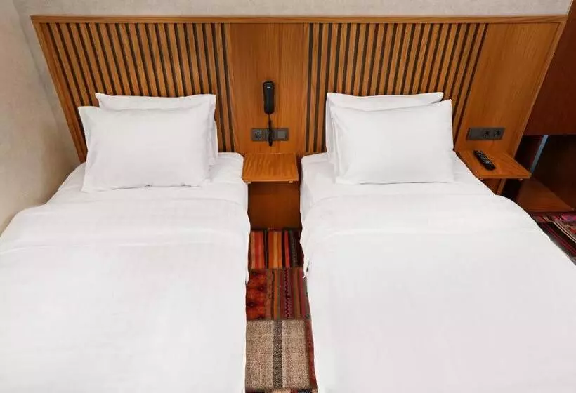 Fotos del hotel Discovery:  18