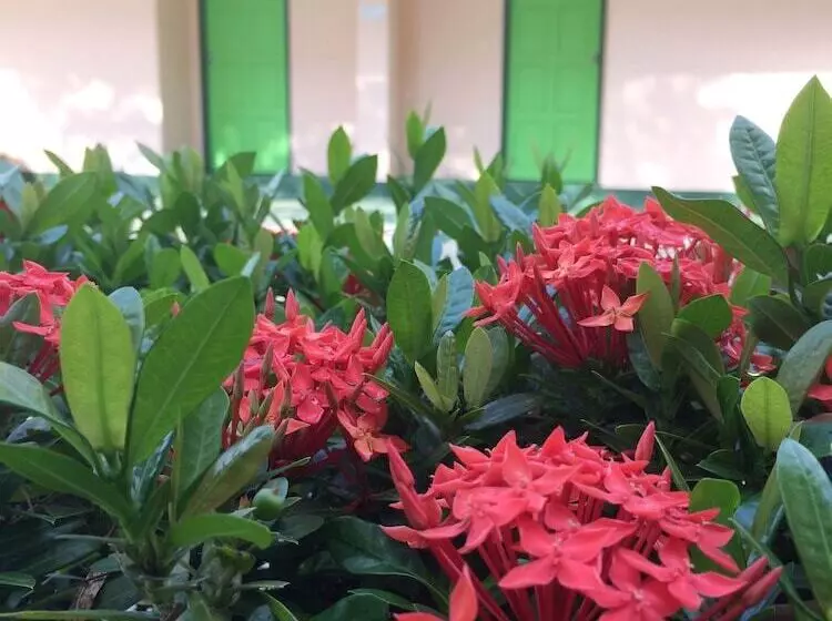 Fotos del hotel J. Holiday Inn:  16