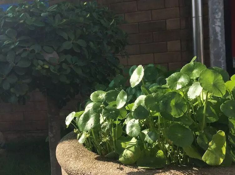 Fotos del hotel J. Holiday Inn:  22