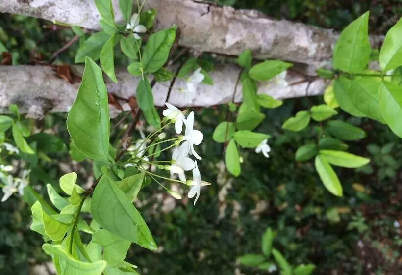 Fotos del hotel J. Holiday Inn:  6