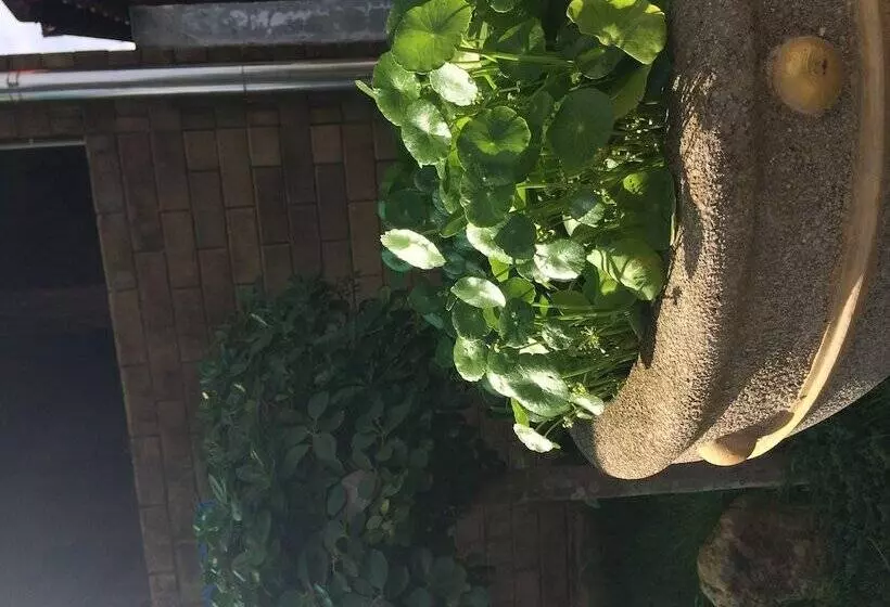 Fotos del hotel J. Holiday Inn:  23