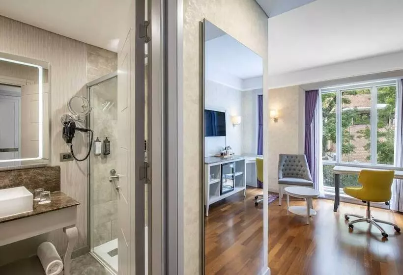 Fotos del hotel Mercure Tbilisi Old Town:  9