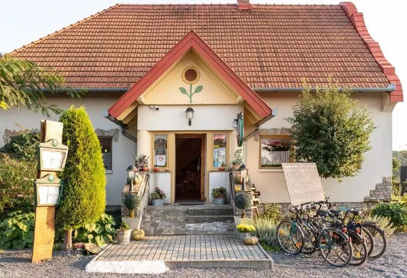 Fotos del hotel Andrea Wellness Panzió:  10