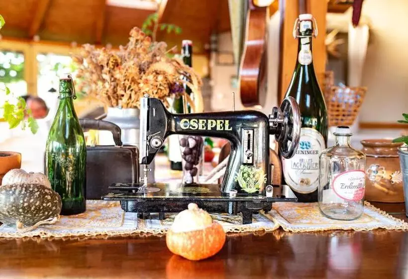 Fotos del hotel Andrea Wellness Panzió:  17