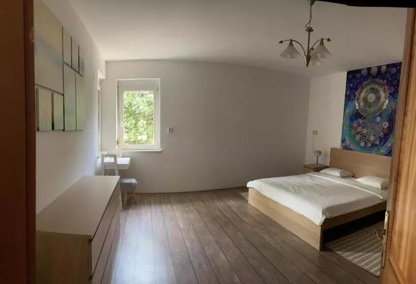 Fotos del hotel Andrea Wellness Panzió:  19