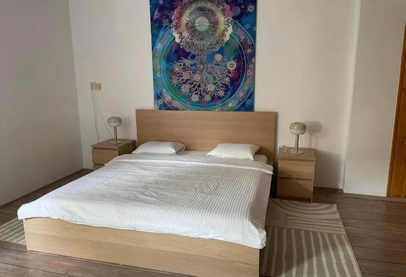 Fotos del hotel Andrea Wellness Panzió:  23