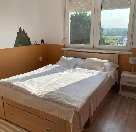 Fotos del hotel Andrea Wellness Panzió:  24