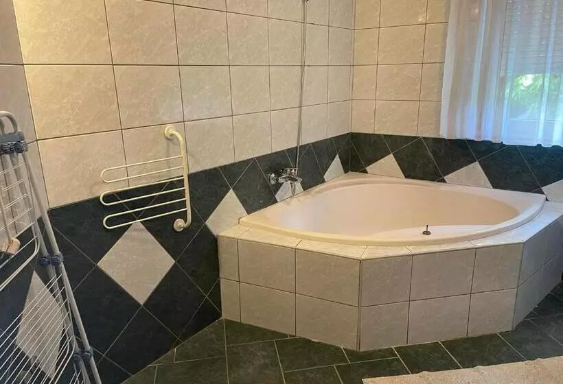 Fotos del hotel Andrea Wellness Panzió:  20