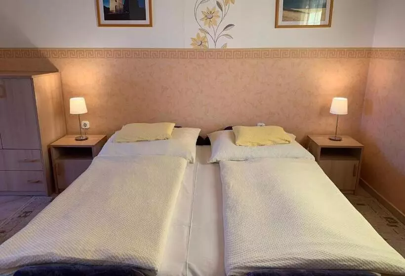 Fotos del hotel Andrea Wellness Panzió:  2