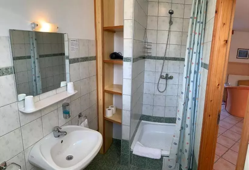 Fotos del hotel Andrea Wellness Panzió:  16