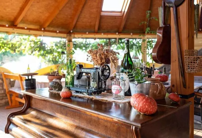 Fotos del hotel Andrea Wellness Panzió:  6