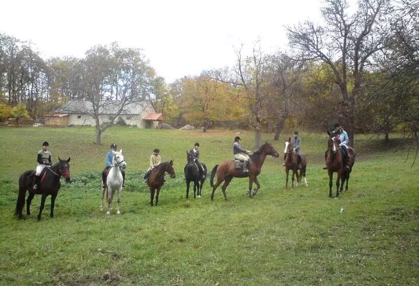 Fotos del hotel Andrea Wellness Panzió:  9