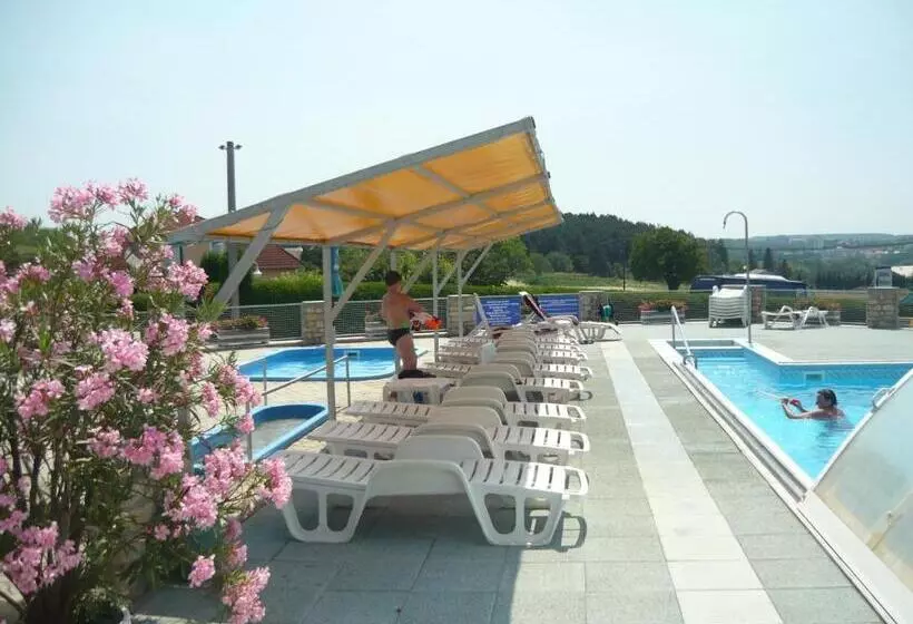 Fotos del hotel Andrea Wellness Panzió:  11