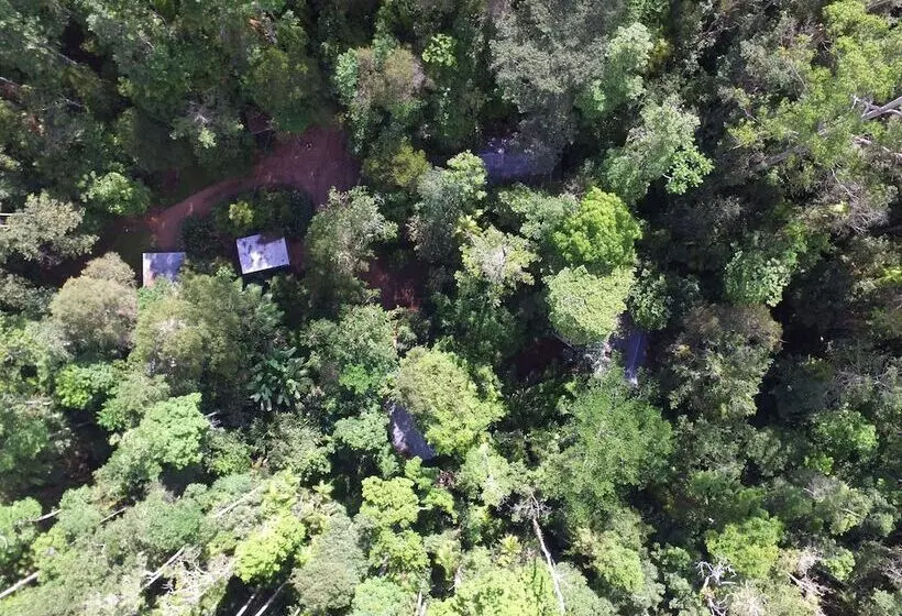 Fotos del hotel Crater Lakes Rainforest Cottages:  7