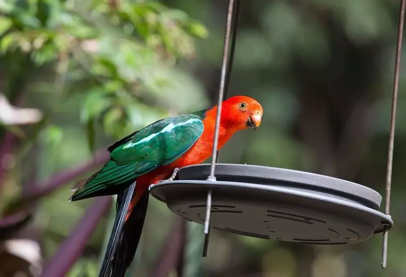 Fotos del hotel Crater Lakes Rainforest Cottages:  15