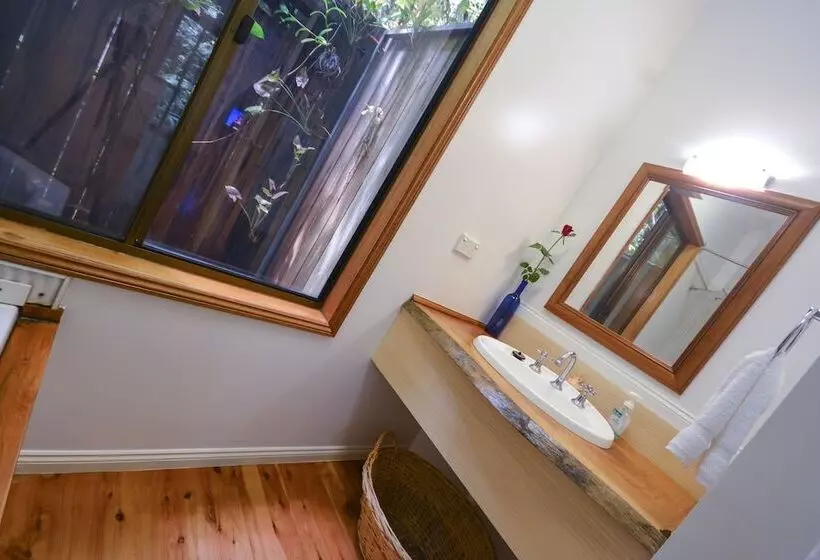 Fotos del hotel Crater Lakes Rainforest Cottages:  5