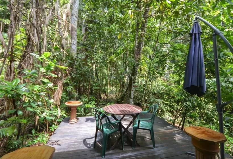 Fotos del hotel Crater Lakes Rainforest Cottages:  3