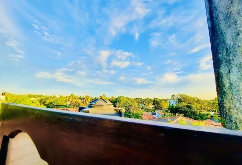 Fotos del hotel Dorset:  9