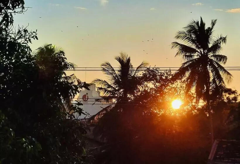 Fotos del hotel Dorset:  12