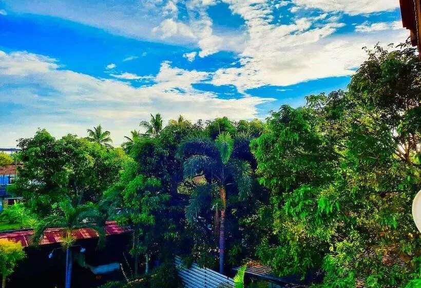 Fotos del hotel Dorset:  13