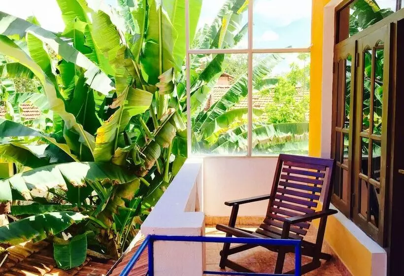 Fotos del hotel Dorset:  14