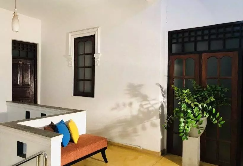 Fotos del hotel Dorset:  3