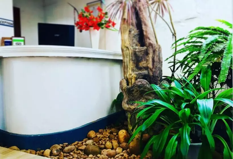 Fotos del hotel Dorset:  11