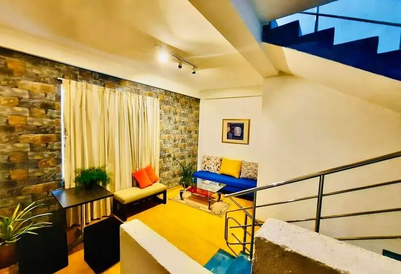 Fotos del hotel Dorset:  10