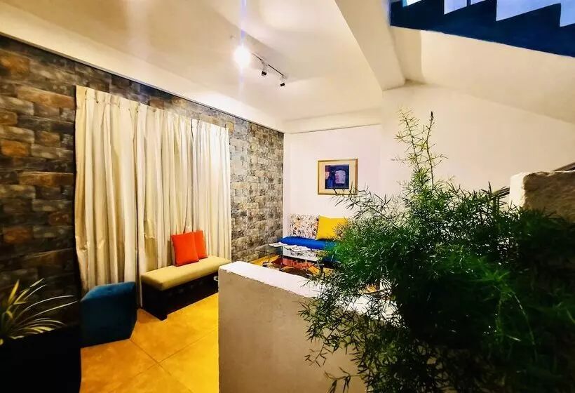 Fotos del hotel Dorset:  6