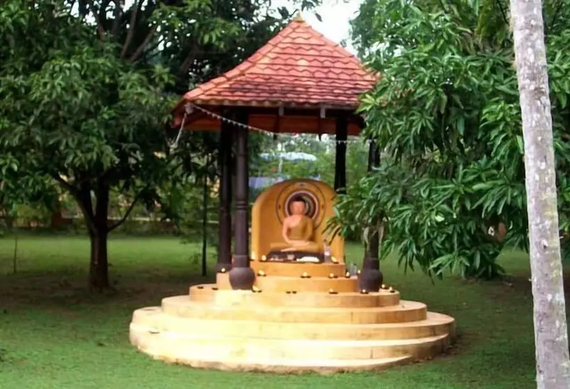 Fotos del hotel Eva Lanka:  6