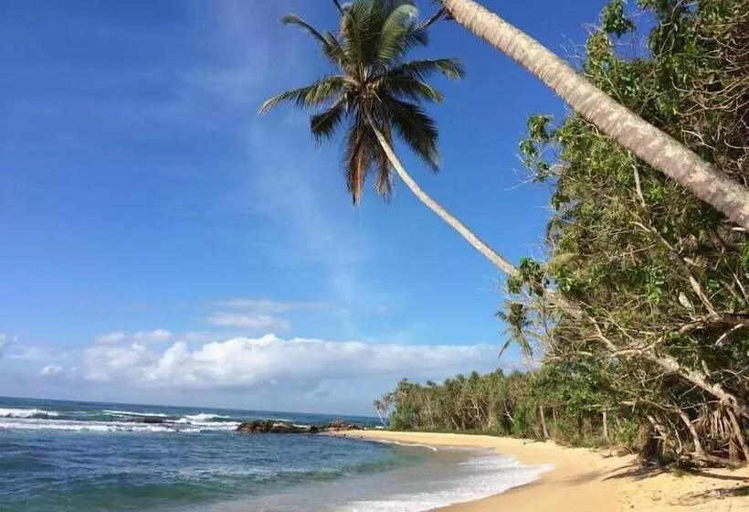 Fotos del hotel Eva Lanka:  22