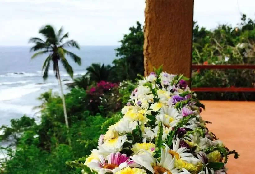 Fotos del hotel Eva Lanka:  18