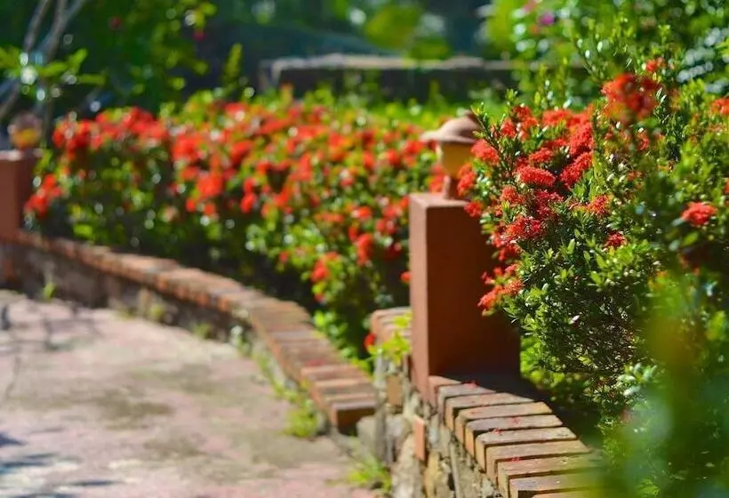 Fotos del hotel Eva Lanka:  25