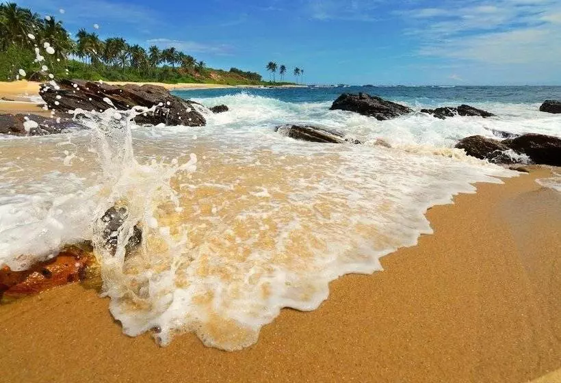 Fotos del hotel Eva Lanka:  15