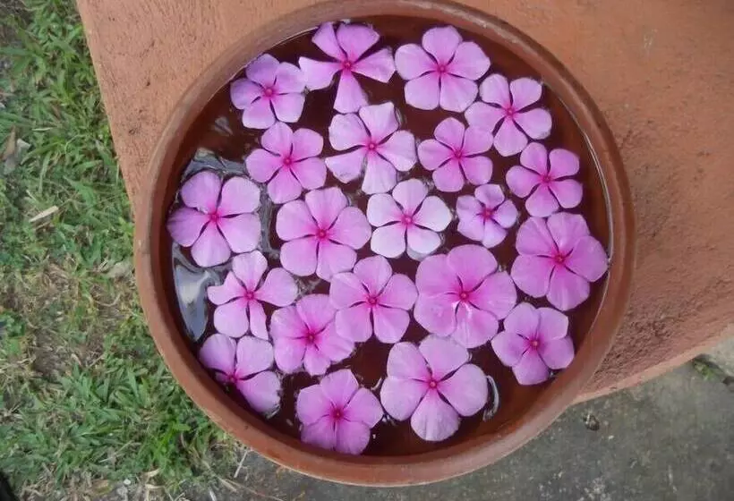 Fotos del hotel Eva Lanka:  19