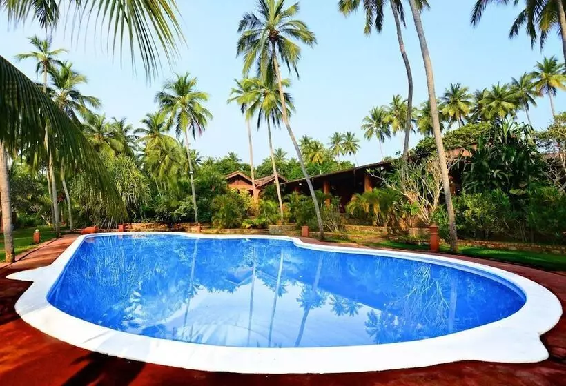 Fotos del hotel Eva Lanka:  2