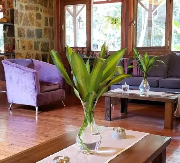 Fotos del hotel Selva De Laurel:  8