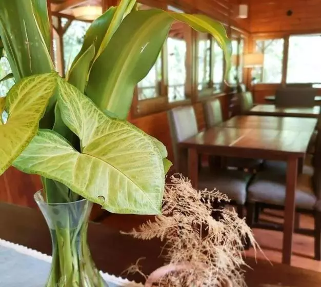 Fotos del hotel Selva De Laurel:  21