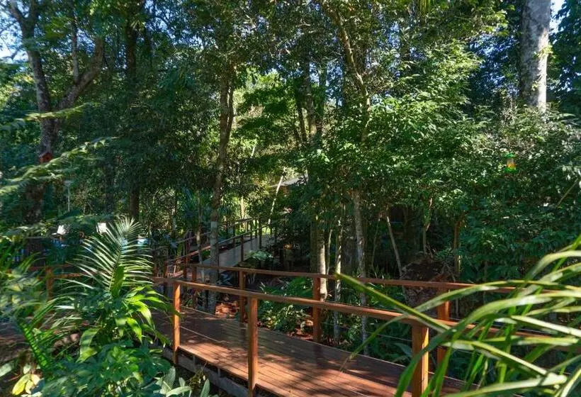 Fotos del hotel Selva De Laurel:  22