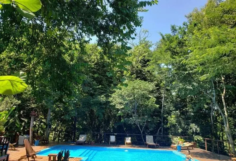 Fotos del hotel Selva De Laurel:  2