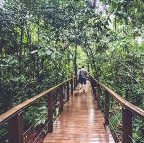 Fotos del hotel Selva De Laurel:  20