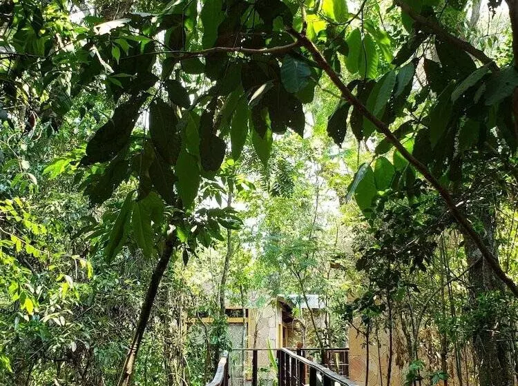 Fotos del hotel Selva De Laurel:  12