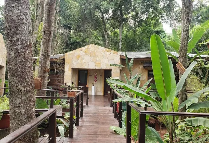 Fotos del hotel Selva De Laurel:  5