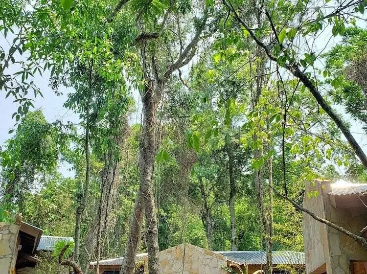 Fotos del hotel Selva De Laurel:  7