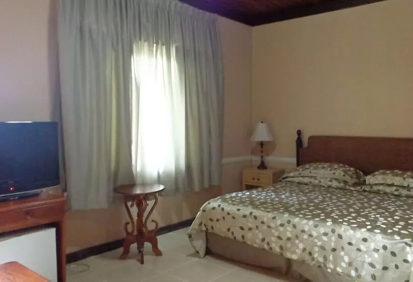 Fotos del hotel Villa Americana:  7